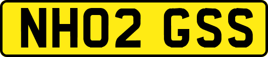 NH02GSS