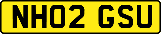NH02GSU