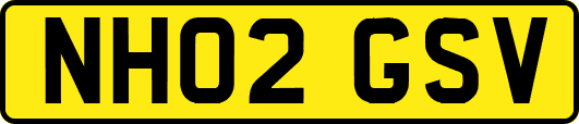 NH02GSV