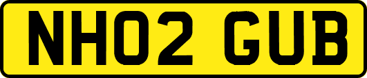 NH02GUB