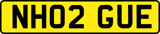 NH02GUE