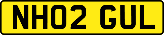 NH02GUL