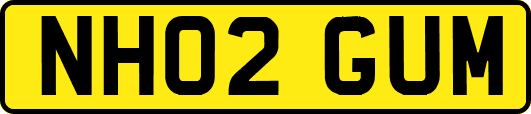 NH02GUM