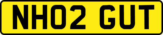 NH02GUT