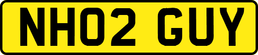 NH02GUY