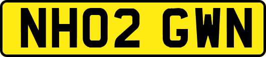 NH02GWN