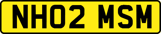 NH02MSM