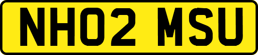 NH02MSU