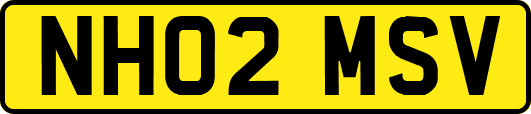 NH02MSV