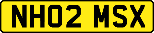 NH02MSX
