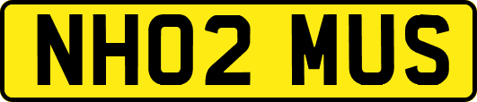 NH02MUS