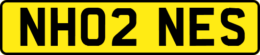 NH02NES