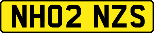 NH02NZS