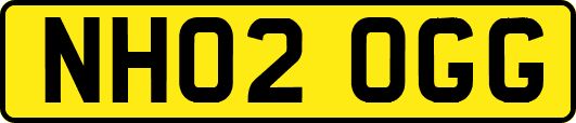 NH02OGG