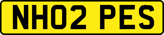 NH02PES