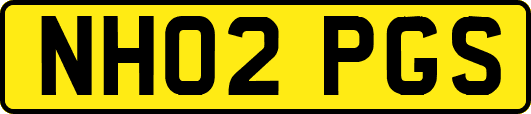 NH02PGS