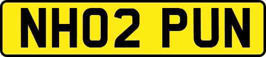 NH02PUN