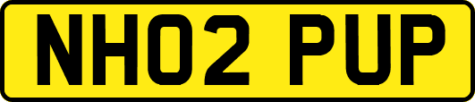 NH02PUP