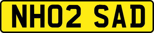NH02SAD