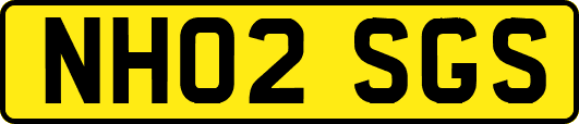 NH02SGS