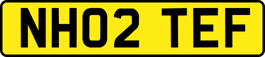 NH02TEF