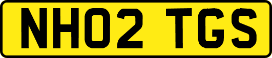 NH02TGS