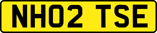 NH02TSE