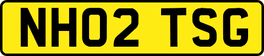 NH02TSG
