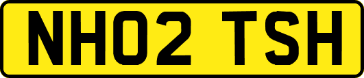 NH02TSH
