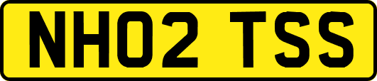 NH02TSS