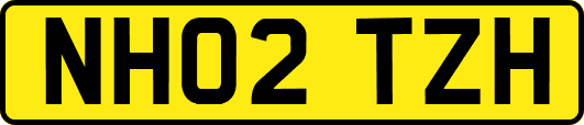 NH02TZH