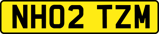 NH02TZM