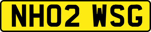 NH02WSG