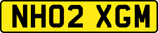 NH02XGM