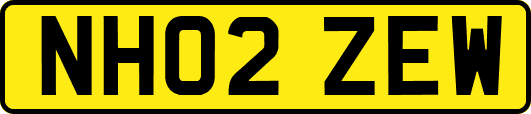 NH02ZEW