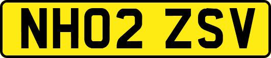 NH02ZSV