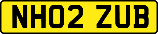 NH02ZUB