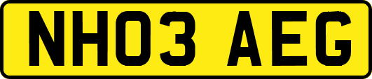 NH03AEG