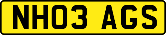 NH03AGS