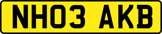 NH03AKB