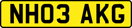 NH03AKG