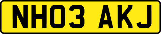 NH03AKJ