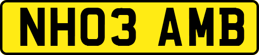 NH03AMB