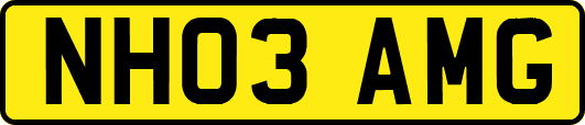 NH03AMG