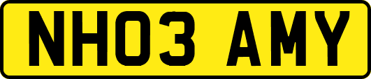 NH03AMY