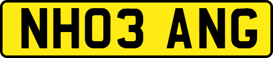 NH03ANG