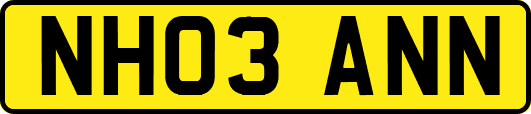 NH03ANN