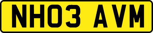 NH03AVM