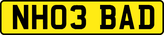 NH03BAD