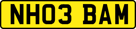 NH03BAM